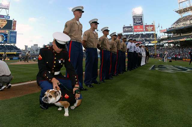 DVIDS - Images - San Diego Padres Military Appreciation Day During San Diego  Fleet Week 2016 [Image 2 of 6]